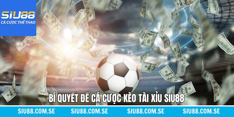 Mẹo đặt cược kèo tài xỉu thắng đậm chuẩn cao thủ tại Siu88