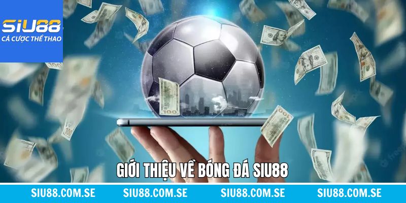 Nội dung tổng quan về hình thức cá cược bóng đá tại Siu88