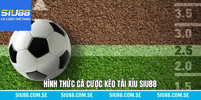 Tổng hợp các kèo tài xỉu Siu88 được ưa chuộng hiện nay