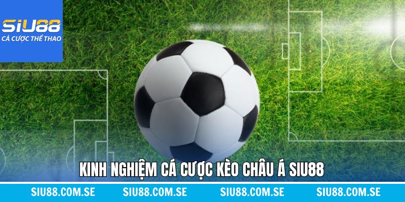 Chiến lược cá cược kèo châu Á đỉnh cao dành cho hội viên