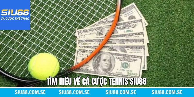 Nội dung tổng quan cần nắm khi tham gia cược quần vợt 